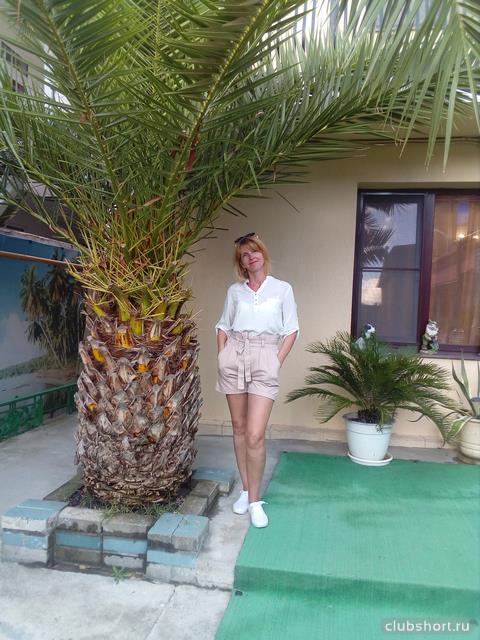62150_phxf33stqfa.jpg
